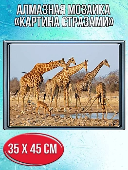 Алмазная мозаика картина стразами Жирафы, 40х50 см