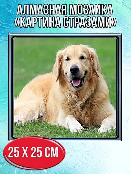 Алмазная мозаика картина стразами Лабрадор, 30х30 см