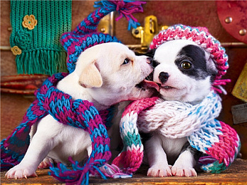 Алмазная мозаика картина стразами Два щенка, 40х50 см Алмазная мозаика картина стразами Два щенка, 40х50 см