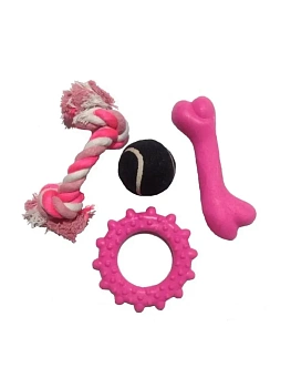 00014396 Игровой набор для щенков и собак мелких пород Puppy Toy Set, 4 предмета