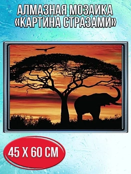 Алмазная мозаика картина стразами Африканский закат, 50х65 см