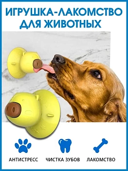 00026764 Игрушка для животных на присоске с печеньем