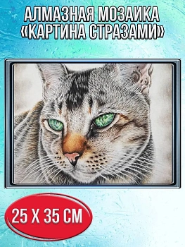 Алмазная мозаика картина стразами Европейская кошка, 30х40 см
