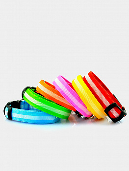 00058290 Светящийся ошейник для животных