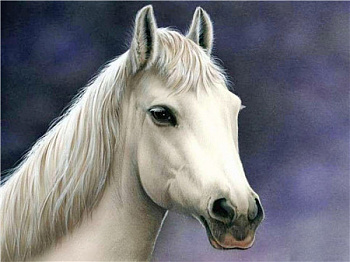 Алмазная мозаика картина стразами Белая лошадь, 40х50 см Алмазная мозаика картина стразами Белая лошадь, 40х50 см