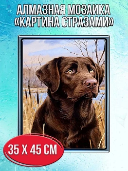 Алмазная мозаика картина стразами Лабрадор ретривер, 40х50 см