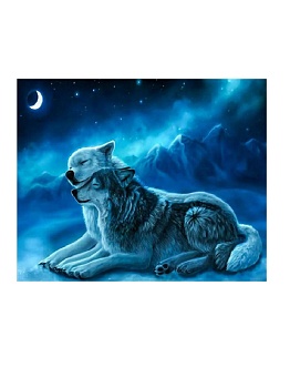 Алмазная мозаика картина стразами Два волка, 40х50 см