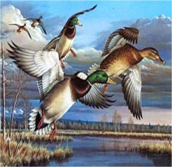 Алмазная мозаика картина стразами Летящие утки, 30х40 см