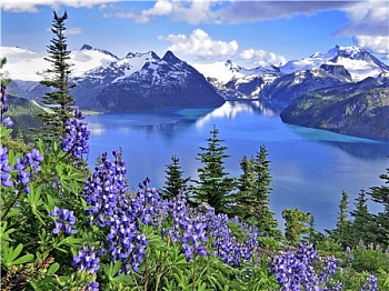 Алмазная мозаика картина стразами Горный пейзаж, 40х50 см