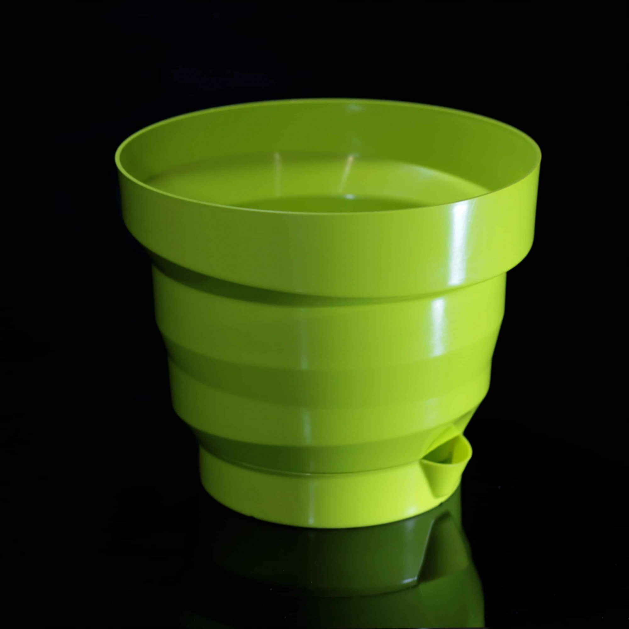 Акцент-фисташка