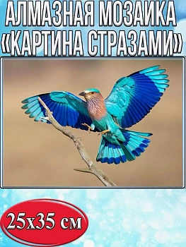 Алмазная мозаика картина стразами Сизоворонка, 30х40 см