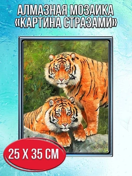 Алмазная мозаика картина стразами Два тигра, 30х40 см
