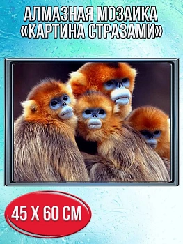 Алмазная мозаика картина стразами Китайские обезьянки, 50х65 см