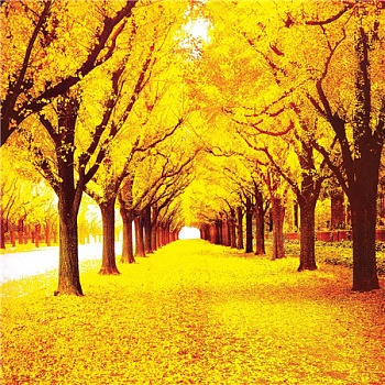 Алмазная мозаика картина стразами Золотая осень, 30х30 см