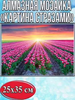 Алмазная мозаика картина стразами Поле тюльпанов, 30х40 см