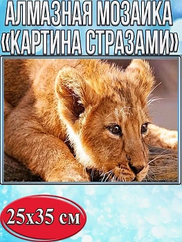 Алмазная мозаика картина стразами Львёнок, 30х40 см