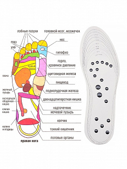 00023579 Стельки с магнитными вставками