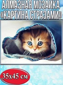 Алмазная мозаика картина стразами Котёнок в рукаве, 40х50 см