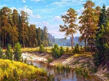 Алмазная мозаика картина стразами Река в лесу, 30х40 см