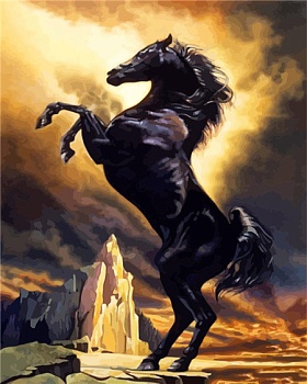 Алмазная мозаика картина стразами Чёрный конь, 30х40 см