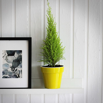 00035896 Кашпо со вставкой Порто, 15 л