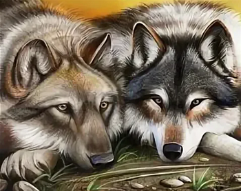Алмазная мозаика картина стразами Волк с волчицей, 50х65 см