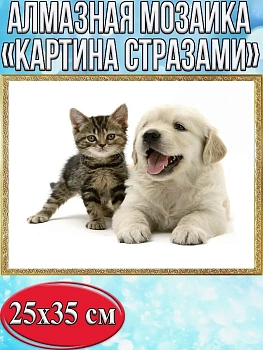 Алмазная мозаика картина стразами Щенок с котёнком, 30х40 см