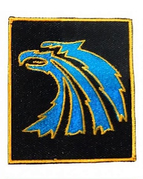 Шеврон на липучке Наёмники, 7х8 см