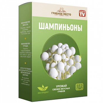 00014182 Домашняя грядка Грибы