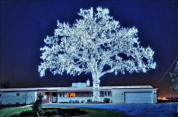Уличная светодиодная гирлянда нить, 100LED