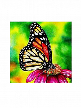 Алмазная мозаика картина стразами Бабочка, 15х20 см
