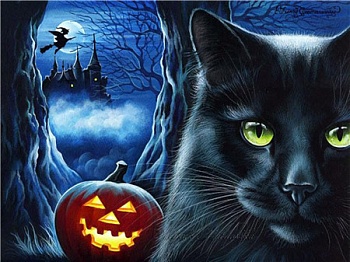 Алмазная мозаика картина стразами Чёрный кот, 30х40 см