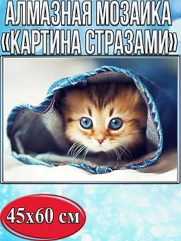 Алмазная мозаика картина стразами Котёнок в рукаве, 50х65 см