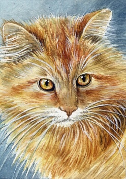 Алмазная мозаика картина стразами Рыжий котик, 30х40 см
