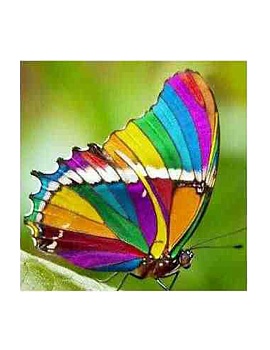 Алмазная мозаика картина стразами Разноцветная бабочка, 15х20 см