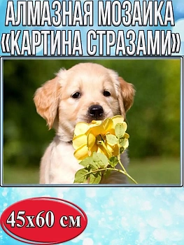 Алмазная мозаика картина стразами Золотистый ретривер, 50х65 см