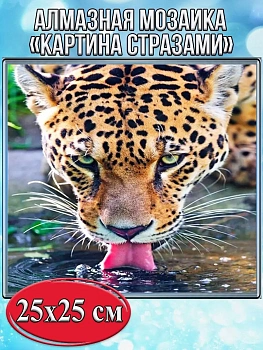 Алмазная мозаика картина стразами Леопард, 30х30 см