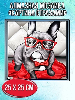 Алмазная мозаика картина стразами Бульдог в очках, 30х30 см