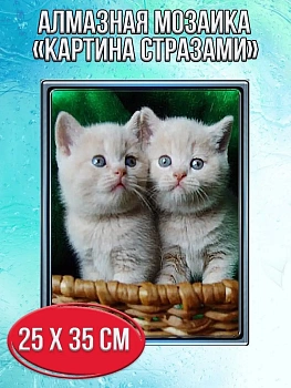 Алмазная мозаика картина стразами Два котёнка в корзине, 30х40 см