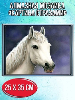 Алмазная мозаика картина стразами Белая лошадь, 30х40 см