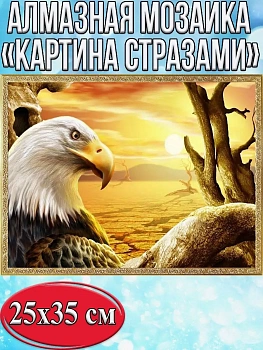 Алмазная мозаика картина стразами Орёл, 30х40 см