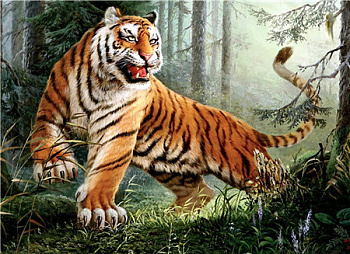 Алмазная мозаика картина стразами Тигр, 50х65 см